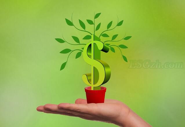 观点：投资绿色并不等于绿化世界