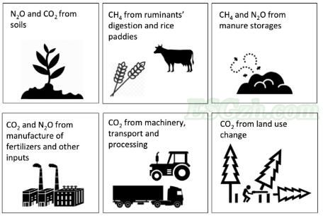 粮食生产会产生什么类型的排放？