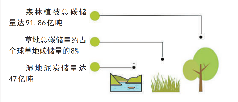 应对气候变化  林草行业展现大国担当(图2)
