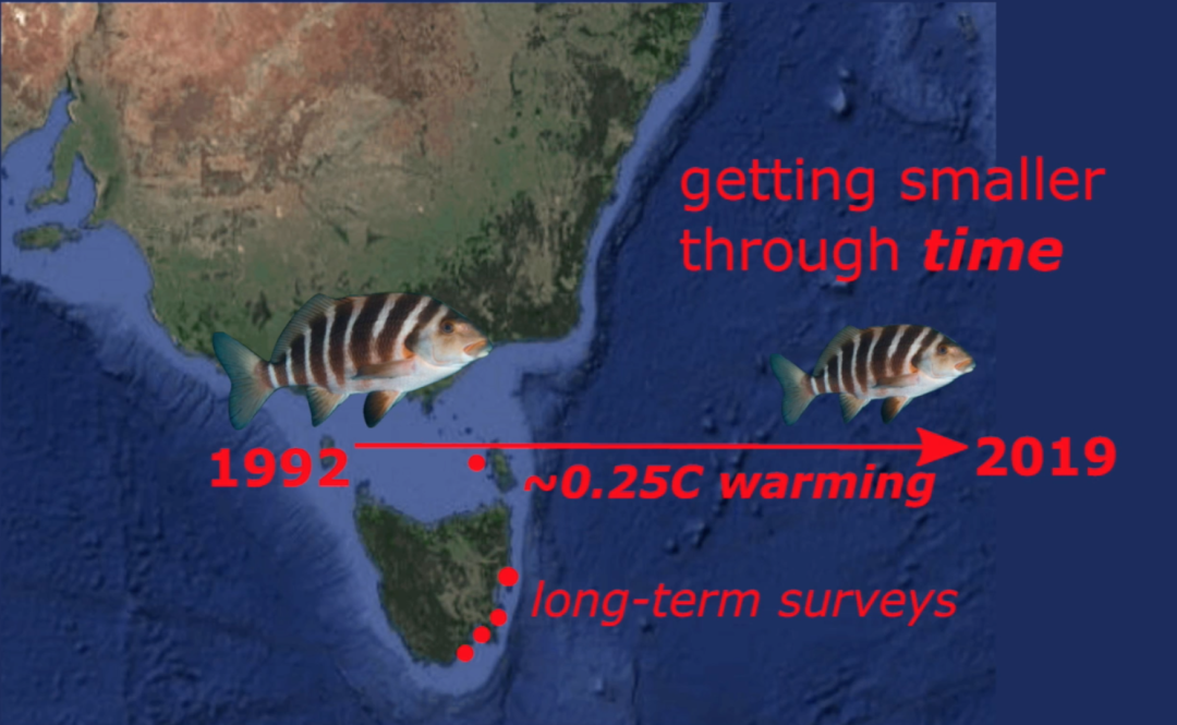 气候变化的影响有多大？连鱼的大小变化都“失控”(图10)