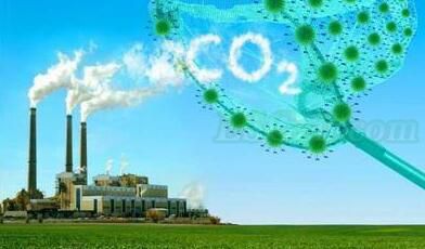 在国际环境气候意识高涨的背景下，大量银行和投资基金都宣布不再向煤炭和煤电等高碳排放的行业投资，而且掀起了撤资的行动