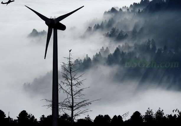 何建坤：2060碳中和这一目标成为全球经济恢复的风向标