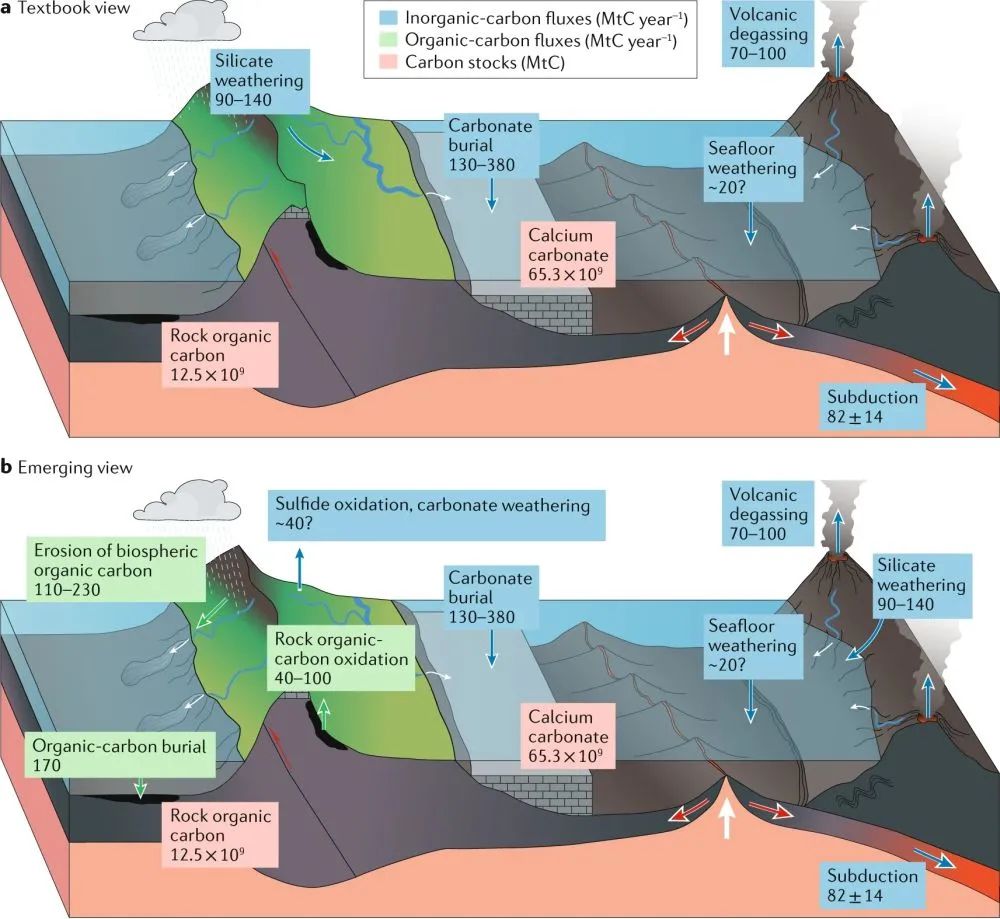 NREE：高山流水觅碳踪(图7)