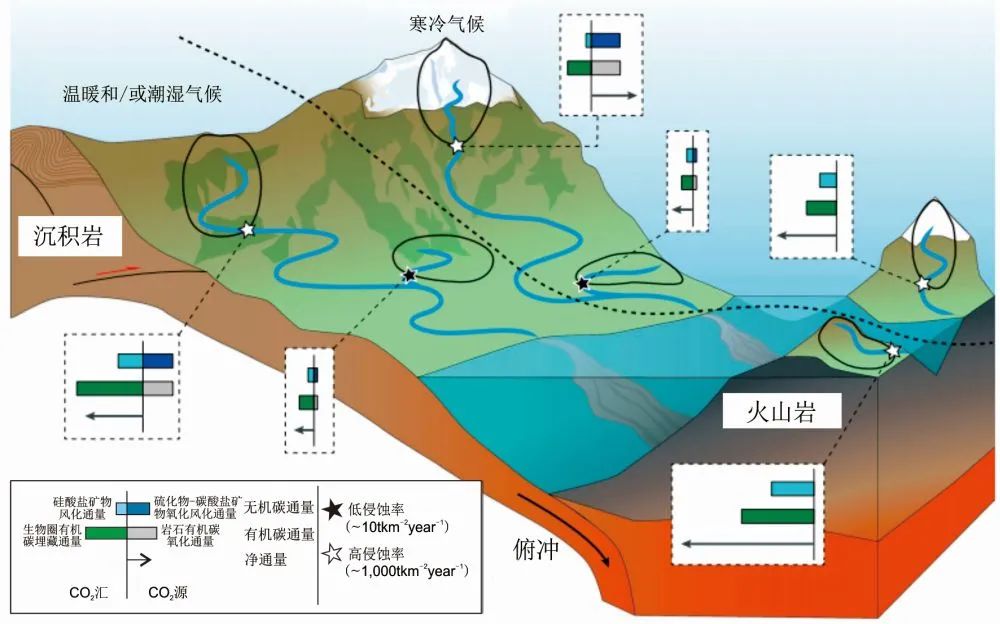 NREE：高山流水觅碳踪(图9)