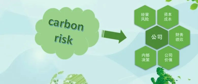 公司与气候变化：公司金融领域碳风险研究进展